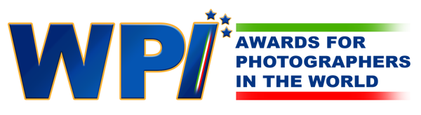 Logo WPI 